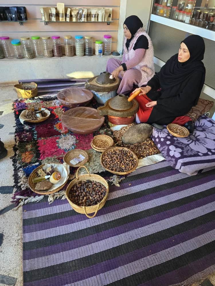 Argan cooperative and valley, gateway to Sahara region Morocco